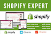 create a shopify dropshipping store