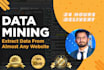 do python web scraping data mining from any website