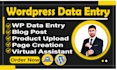 do wordpress data entry and product listing jobs