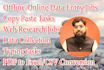 do perfect data entry, copy paste, web research job