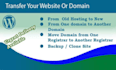 migrate wordpress website migrate domain  in 6 hours