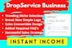 design passive income or drop service business website