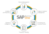 assist in sap b1 and s4 hana projects