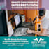 do professional language interpretation for your zoom meeting or webinar