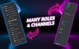 professionally setup discord server fot your community