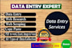 do data entry, web research, web scraping and copy paste
