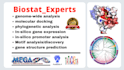do genome wide bioinformatics, phylogeny, molecular docking