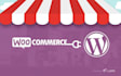 design and customize your wordpress and woocommerce theme professionally