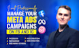 professionally manage your meta ads campaigns on fb and ig