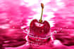 do organic apple music promotion with no bots