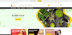 provide  you ecommerce platform with multi vendor