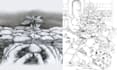 do charcoal pencil drawings