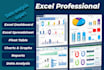 create excel dashboard, data visualization and report