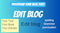 proofread and edit or rewrite your articles or blog post