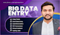 do data entry, internet research, virtual assistant