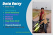 do data entry, copy paste job