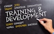 create your company training program