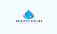 design a professional water drop logo