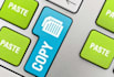 do data entry, copy paste job
