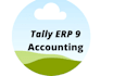 solve your tally erp assignments,problems and projects