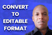 convert your file to an editable format