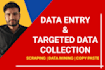 do data entry and related work