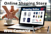build shopify dropshipping store or website