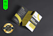 do professional bifold, trifold brochure and menu design
