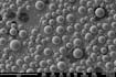 carry out cross section fib SEM on li anode