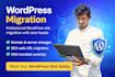 safely migrate your wordpress site without downtime or SEO loss
