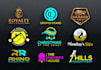 design creative custom modern business logo with copyright ownership