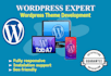 seo professionally customizes your wordpress theme