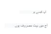 teach how to speak ,write and learn urdu  language