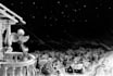 draw professional black and white illustrations