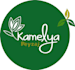 do design professional logo