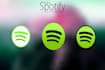 do professional spotify promotion for music track