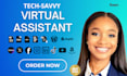 be your professional virtual assistant, data entry, emails