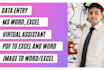 do any type of data entry work in ms excel,word,power point