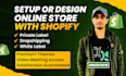 setup store and design shopify store or shopify website