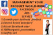 finish facebook promotion in any USA company