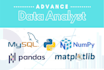 be your data analyst with python, pandas, sql and excel