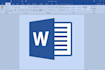 write design and format ms word document for you