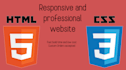 build a responsive and professional HTML and CSS website