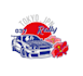 create outstanding car logo within unlimited revision