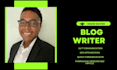 write high quality SEO blogs and articles