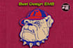 do the patch embroidery digitizing design into pes, dst, jef   in 2 hr