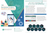 create professional and attractive brochure