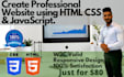create a professional website using HTML CSS  javascript