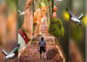 do amazing  create high photo manipulations