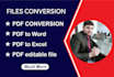 convert your documents into any file format pdf ms excel ms word, and CV convert